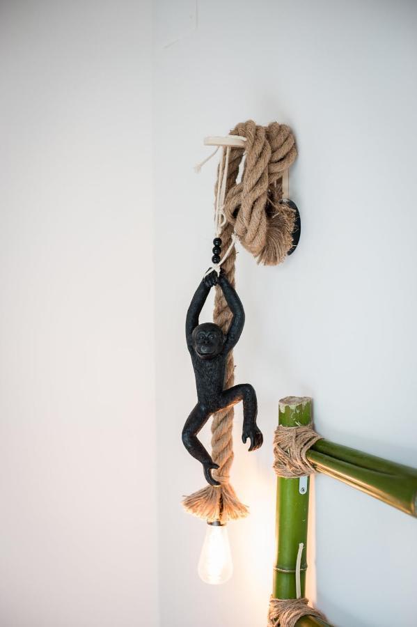 Douce Parenthese A Carcassonne Apartment Luaran gambar