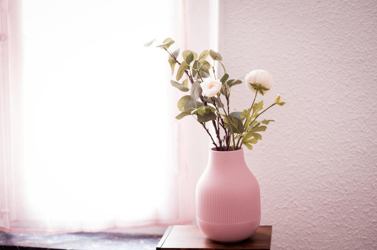 Douce Parenthese A Carcassonne Apartment Luaran gambar